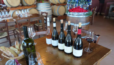 Follow Our Footprints to Gambino Winery