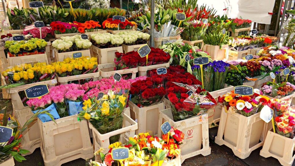 Belgium Flower Market